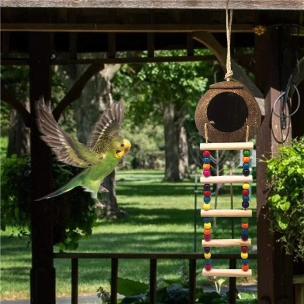 Hanging Coconut Bird House with Ladder,Natural Coconut Fiber Shell Bird Nest